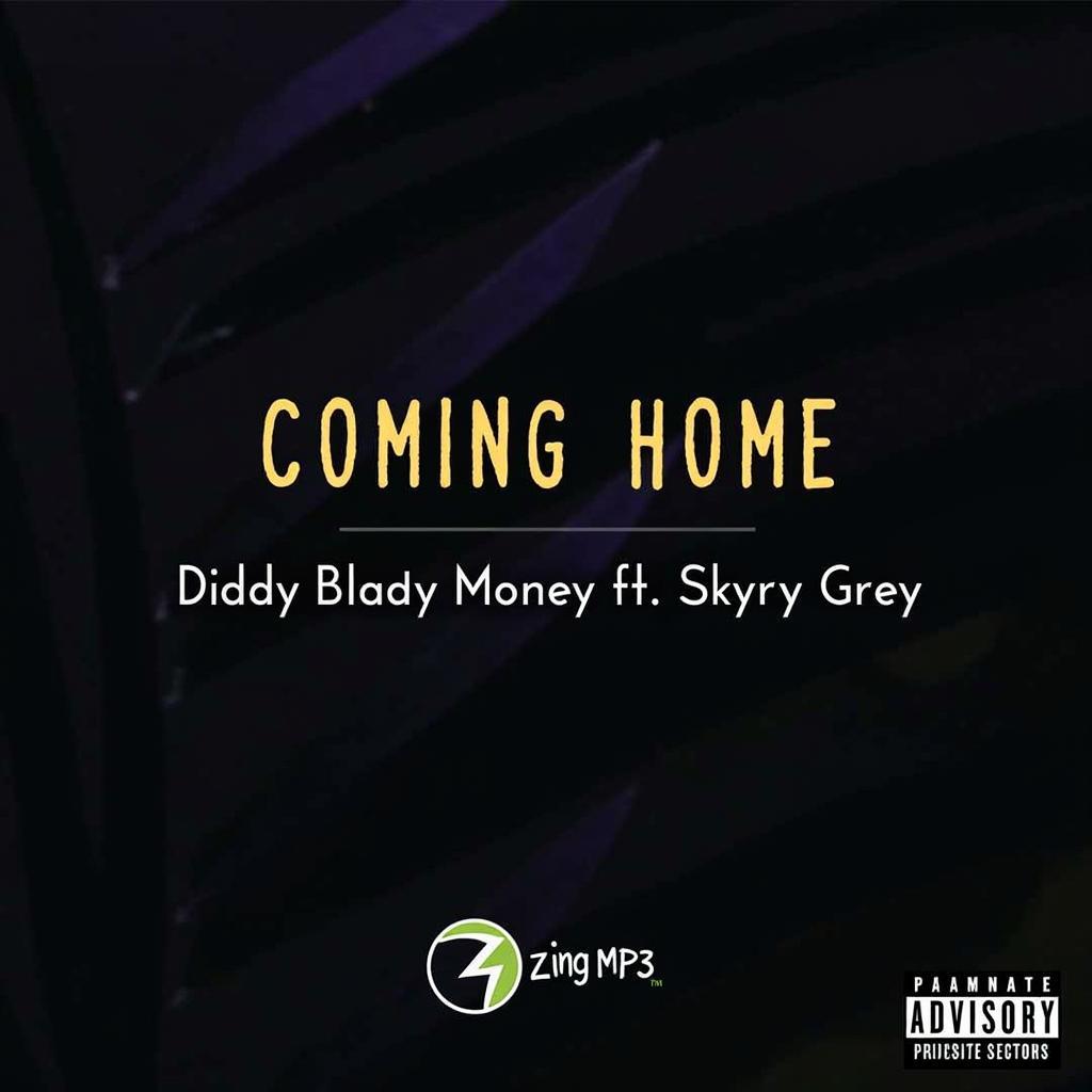 Hình ảnh lời bài hát Coming Home của Diddy Dirty Money ft. Skylar Grey trên Zing MP3