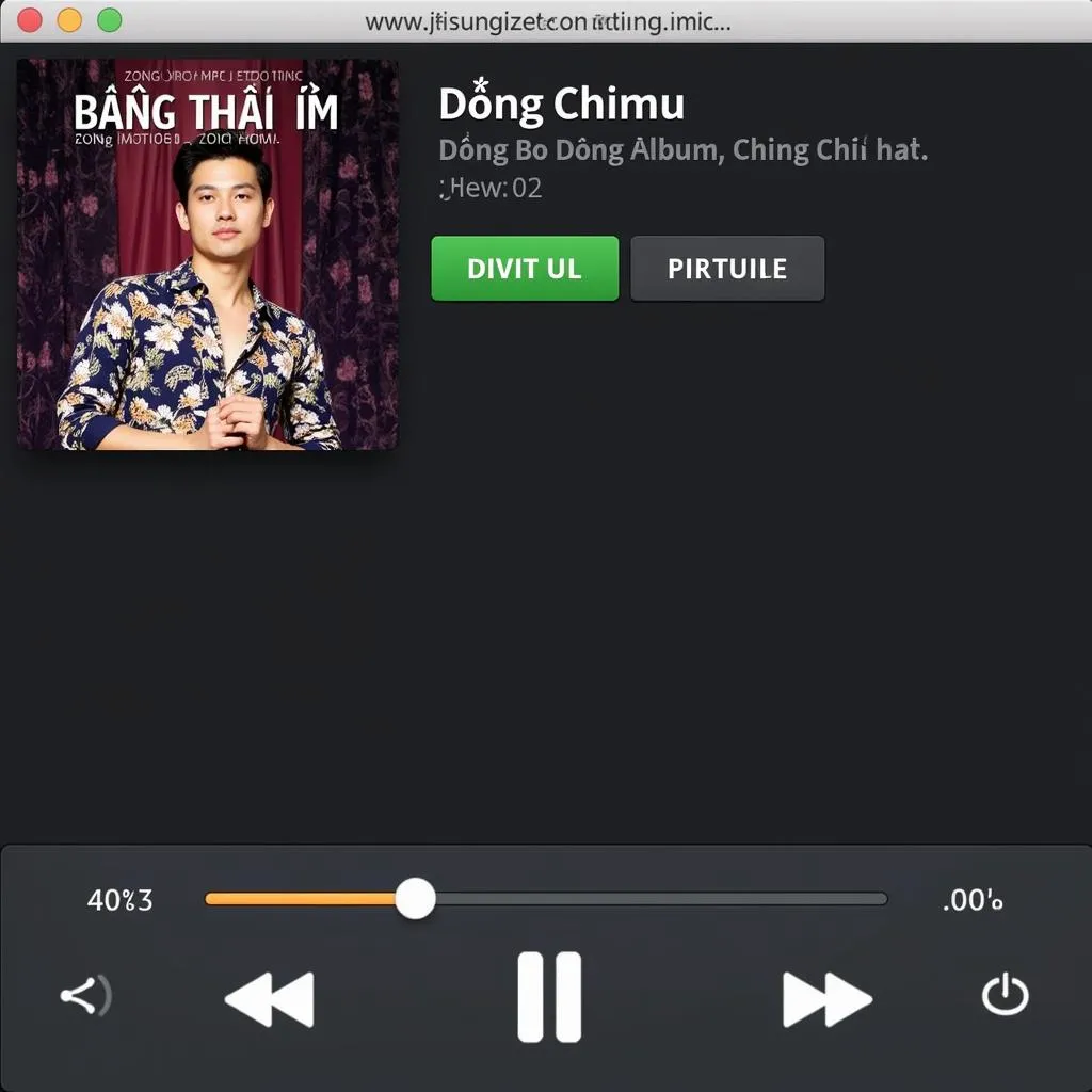 Giao diện Zing MP3 với Dũng Hồi Âm