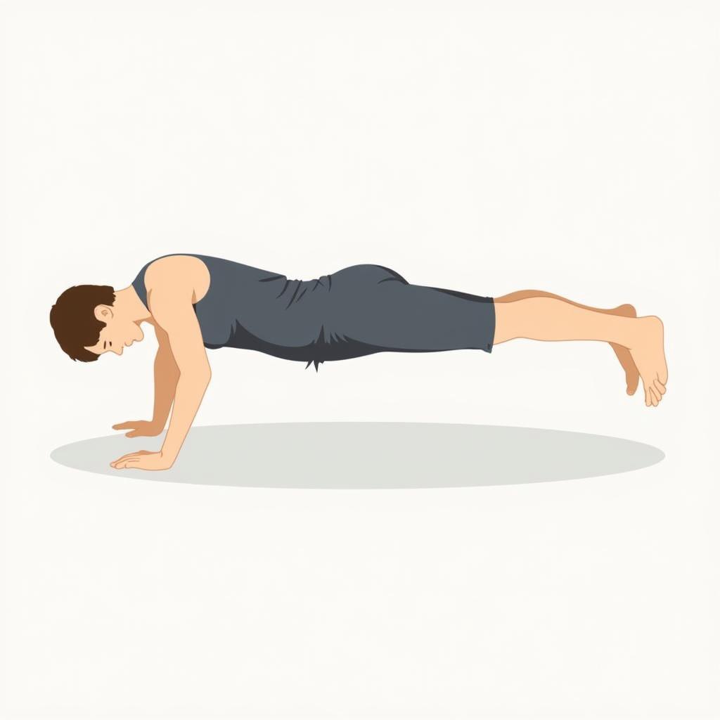 bài tập plank zing